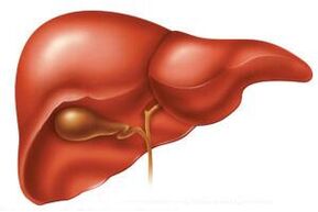 V akutni fazi helminthiasis se lahko povečajo jetra